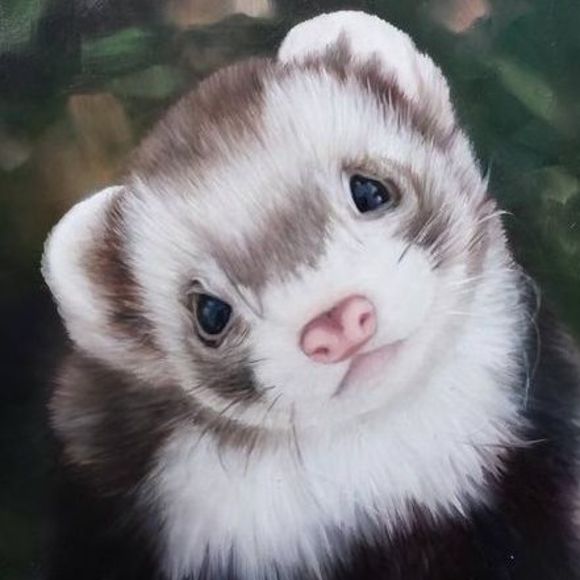 ferretbusiness